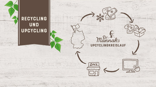 Warum Recycling unverzichtbar für die Umwelt ist